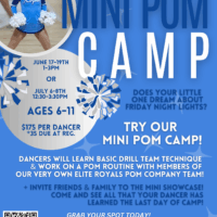 Mini Pom Camp