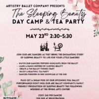 Sleeping Beauty Tea Party